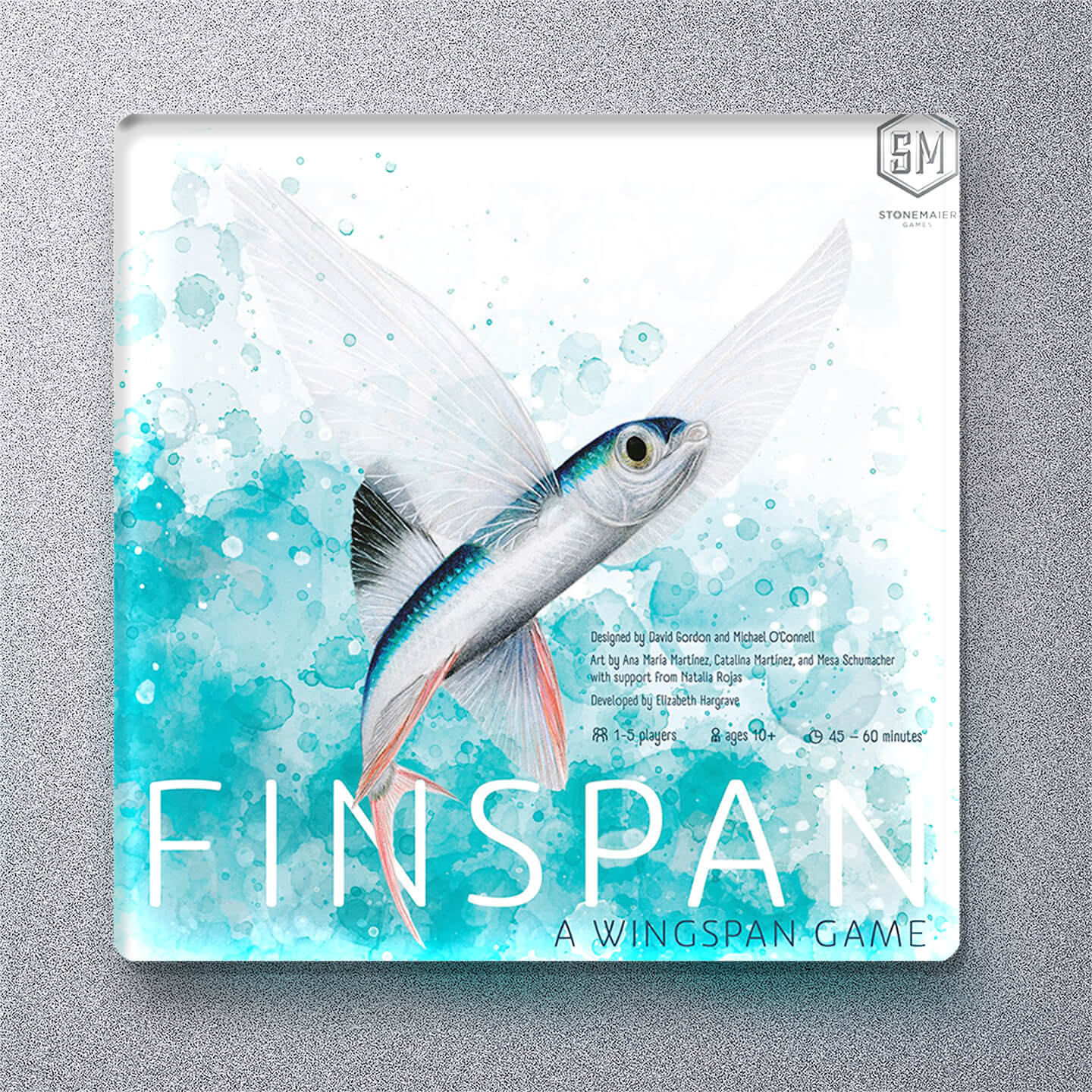 188-Finspan-436126